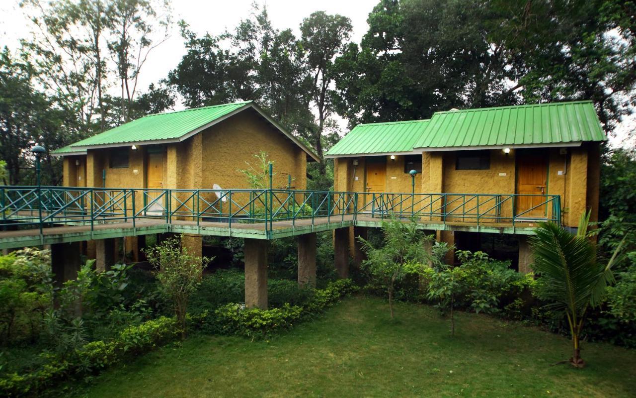 Mpt White Tiger Forest Lodge Tāla Extérieur photo