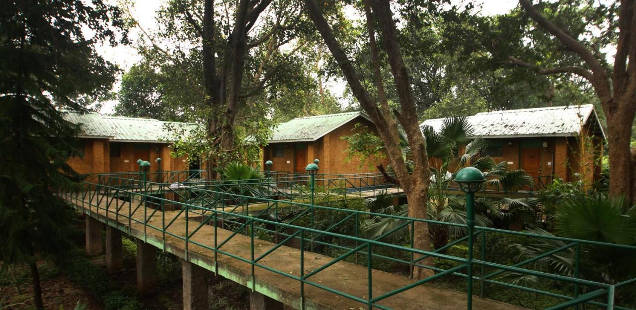 Mpt White Tiger Forest Lodge Tāla Extérieur photo