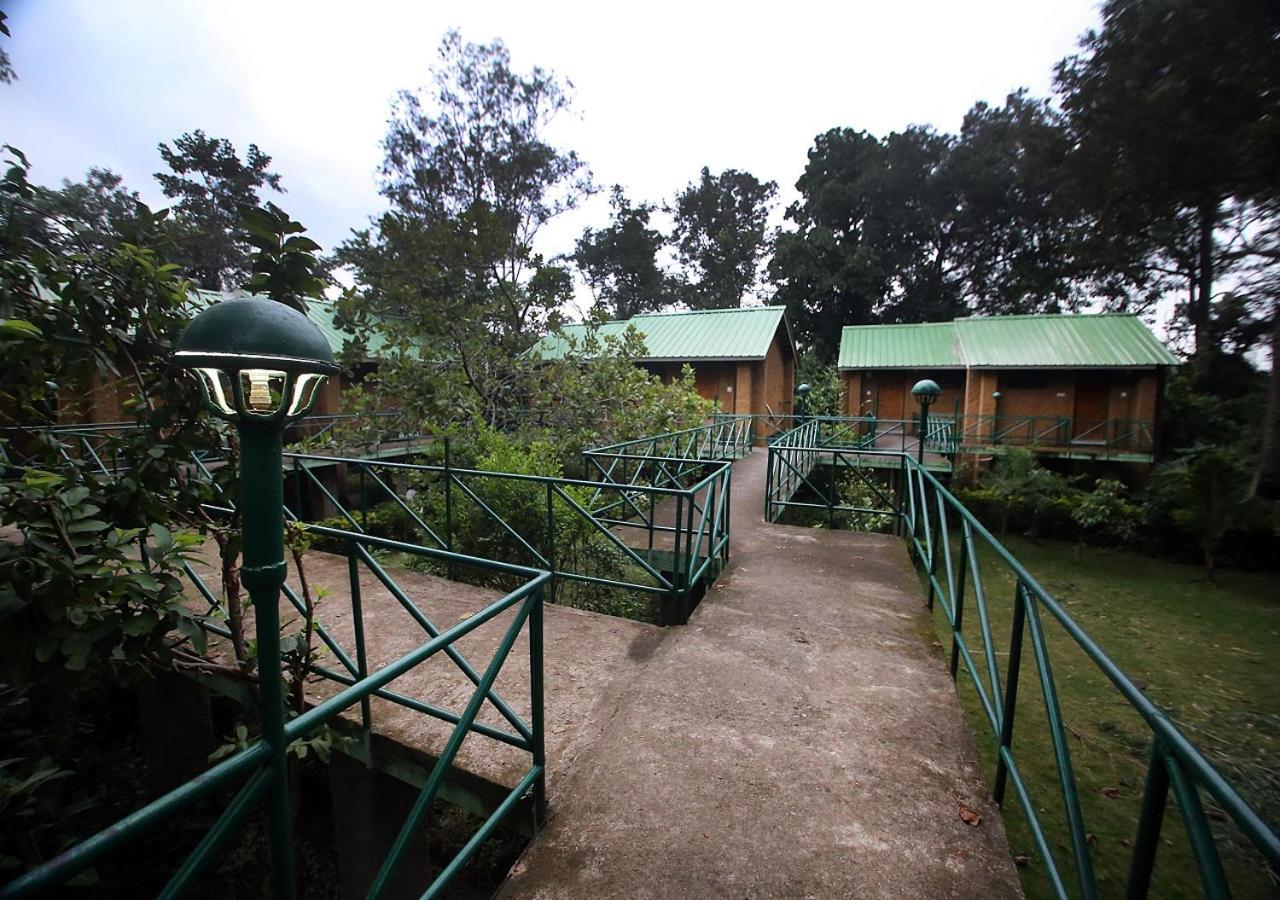 Mpt White Tiger Forest Lodge Tāla Extérieur photo