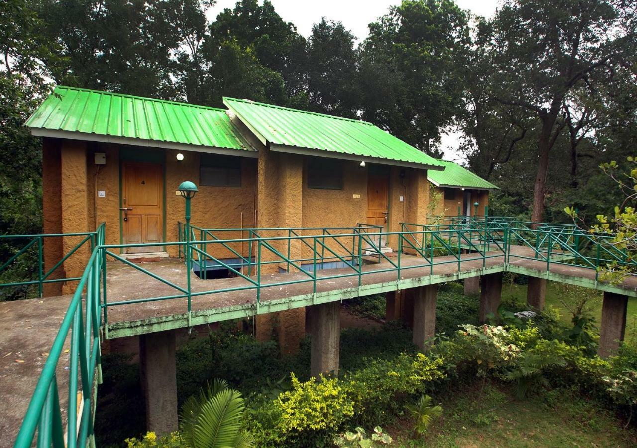 Mpt White Tiger Forest Lodge Tāla Extérieur photo